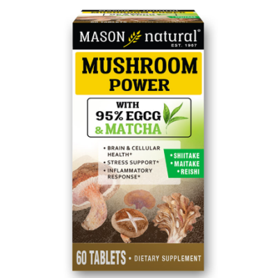 mason__natural_mushroom_power