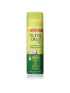 oliveoil